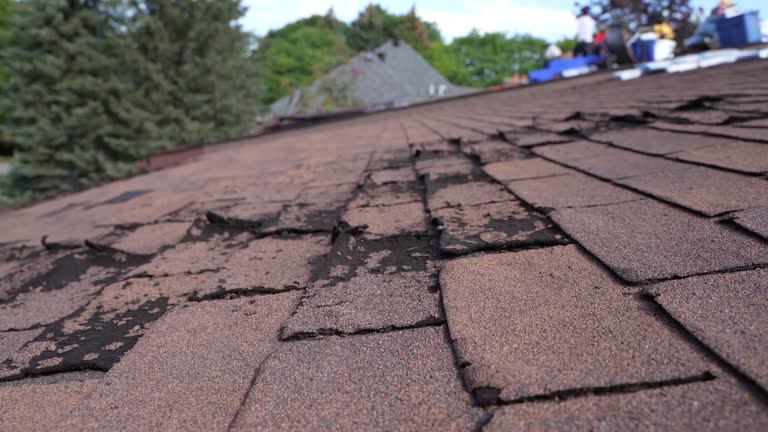 Professional Roofing Services in Sylvania, AL