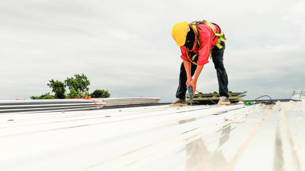 Best Roof Maintenance and Cleaning  in Sylvania, AL