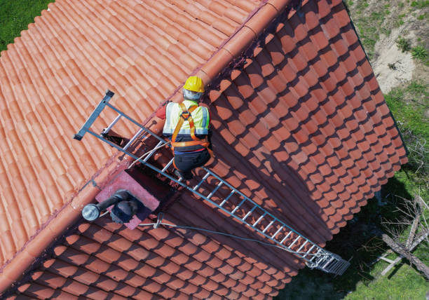 Best Roof Insulation Installation  in Sylvania, AL