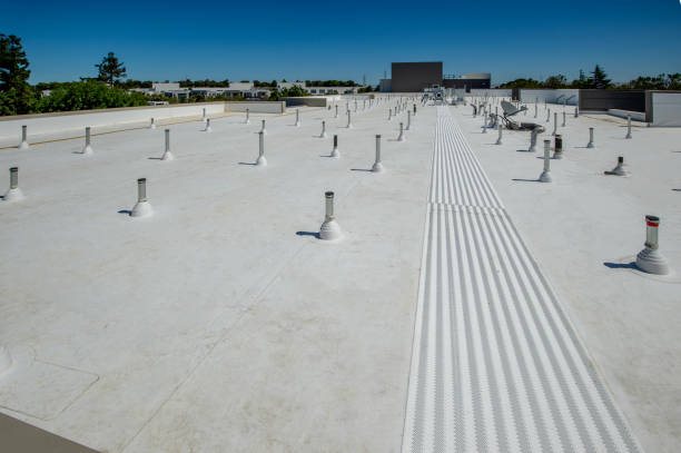 Best Asphalt Shingle Roofing  in Sylvania, AL